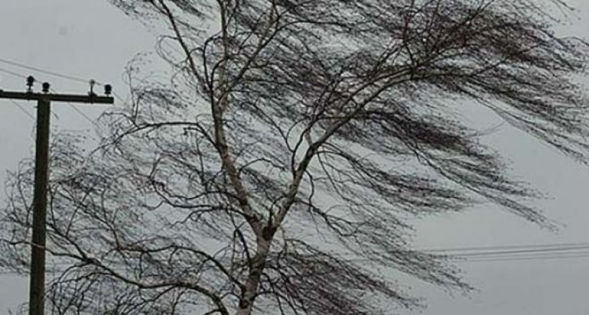 В МЧС предупредили рязанцев о мощных порывах ветра днем 26 марта