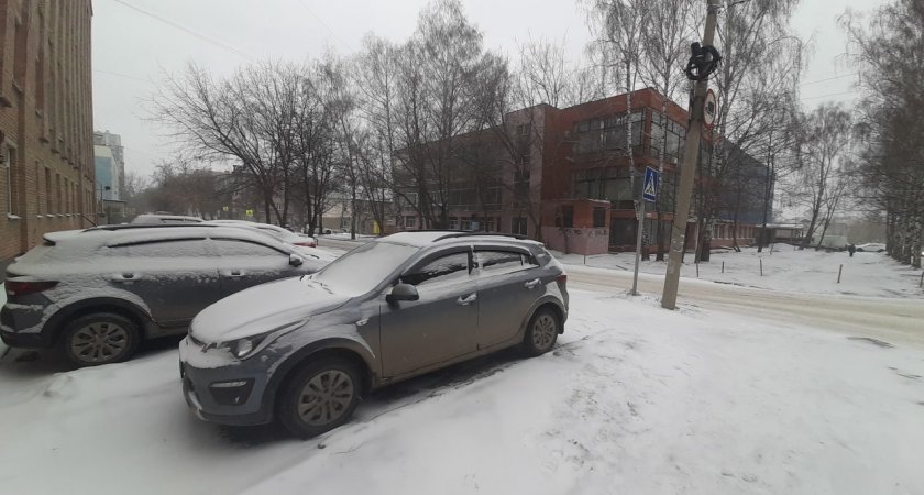 В Рязани 28 марта неожиданно выпал снег