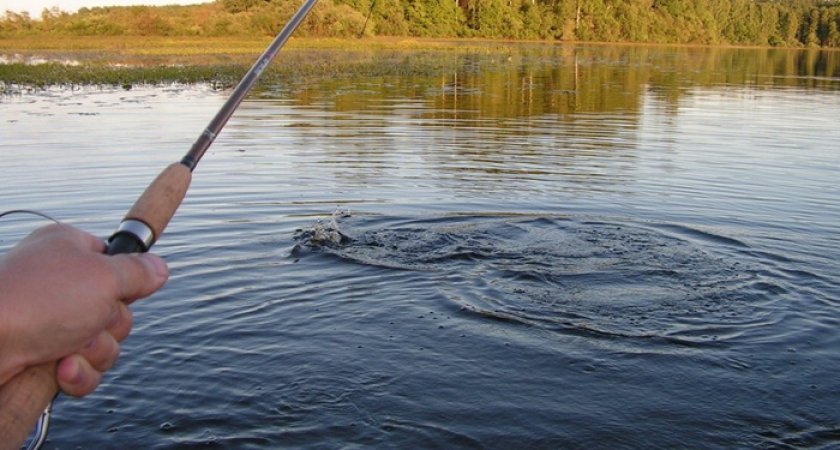 В Рязанской области с 1 апреля по 10 июня ограничат рыбалку 