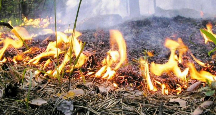 Пожароопасный сезон объявлен с 30 марта в Рязанской области 