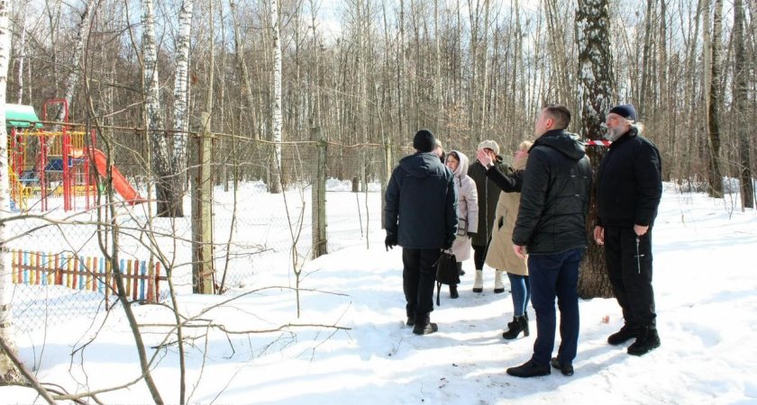 В парке Белякова в Рязани уберут 60 аварийных деревьев