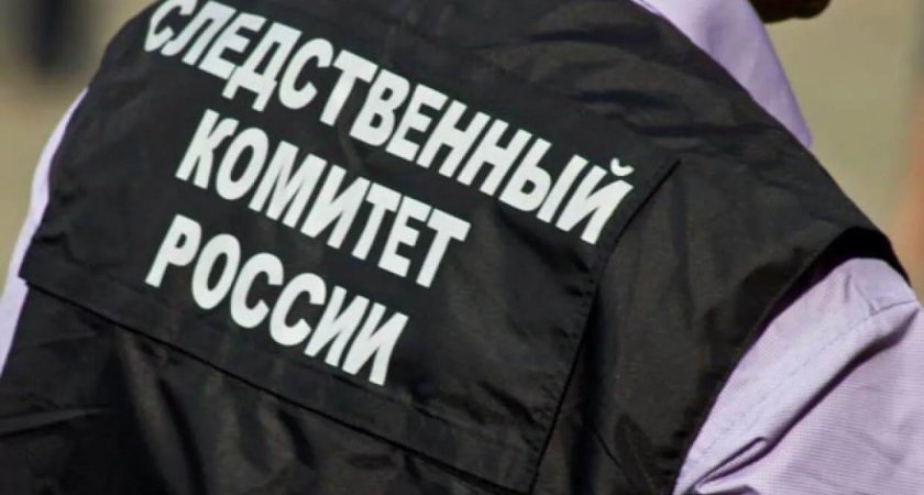 В Рязанской области на чиновницу завели дело о служебном подлоге