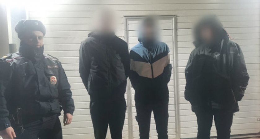 В Рязани трое подростков хотели украсть 75 метров алюминиевого кабеля из магазина