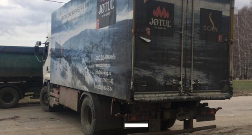 Под Рязанью 14 апреля грузовик Renault сбил 65-летнюю женщину