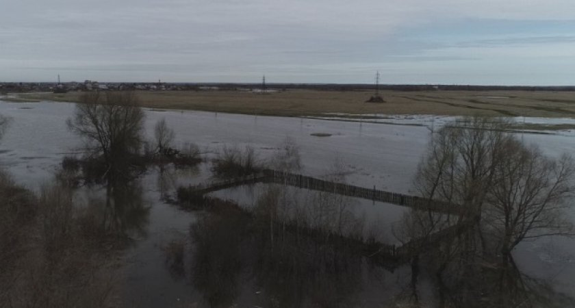 В Рязани подъем воды в реке вызвал затопление 17 приусадебных участков