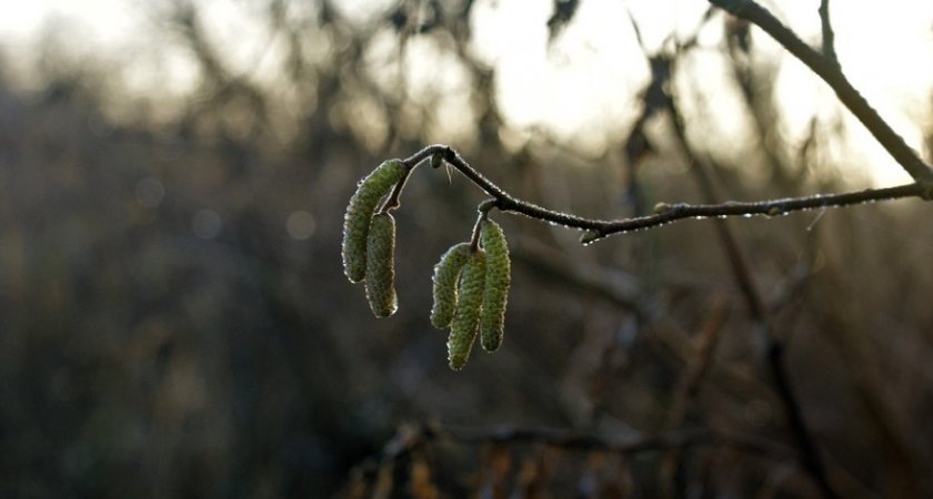 В Рязанской области снова ожидается похолодание