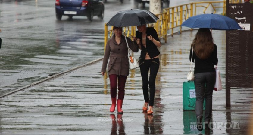 19 апреля в Рязани ожидается дождь и +15 