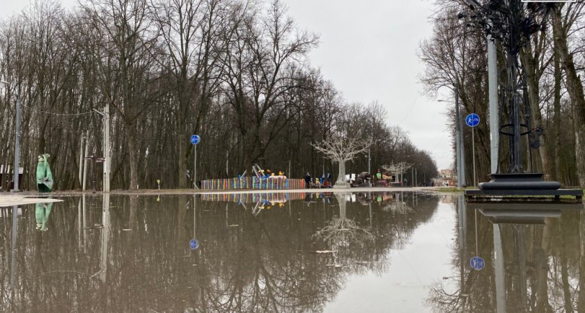 В Рязани затопило Лесопарк из-за половодья