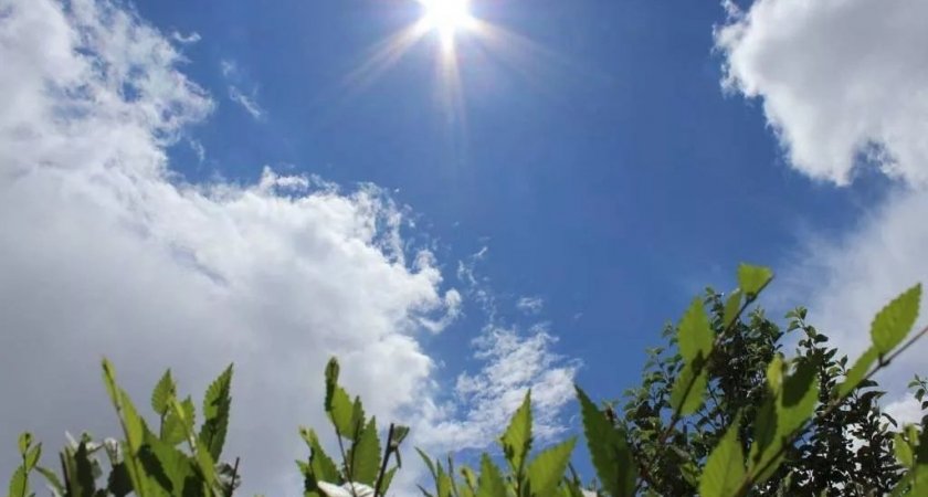 В Рязани ожидается потепление до +21 градуса