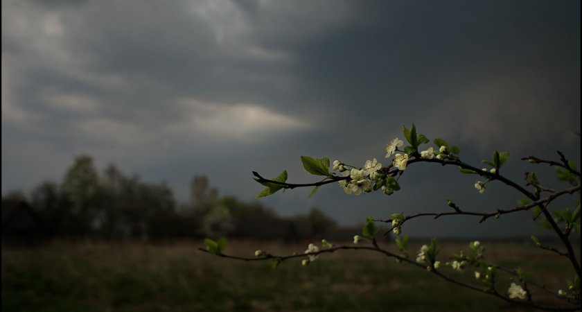 В Рязанской области 12 мая ожидается гроза и ветер до 18 м/с
