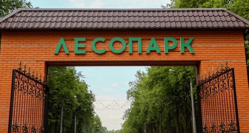 В Рязани с 23 мая начнётся второй этап благоустройства Лесопарка