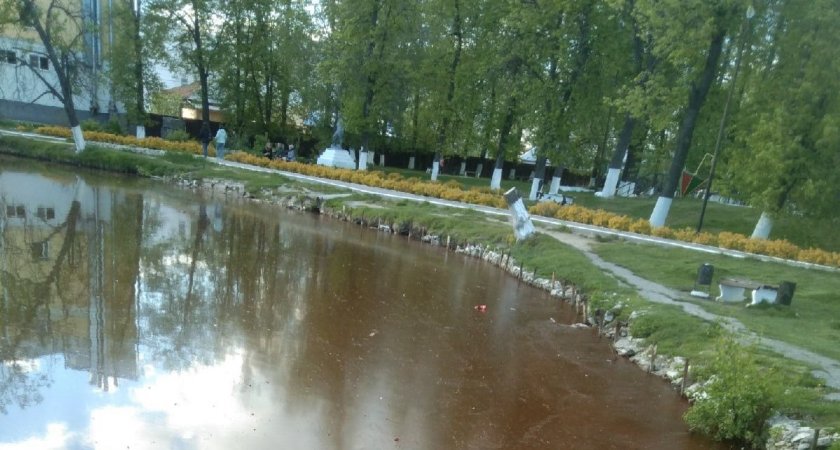 В Касимове 22 мая 2022 водоём в парке побурел