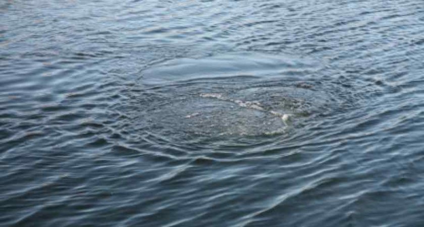 В рязанском посёлке Строитель в озере нашли труп мужчины 57 лет
