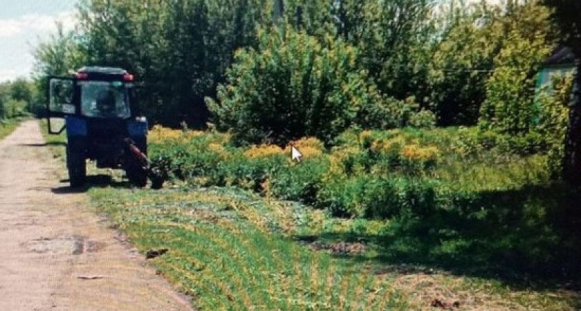 В Ряжском районе трактор косой убил женщину 58 лет