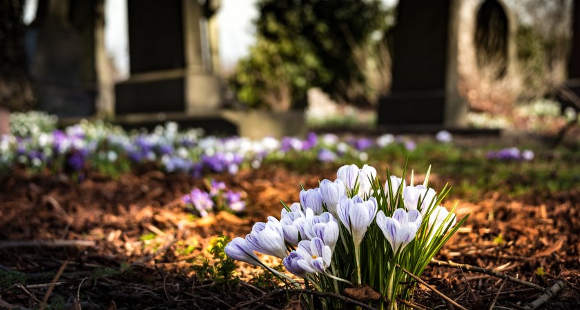 На Преображенском кладбище в Рязани выделят 642 места под воинские захоронения