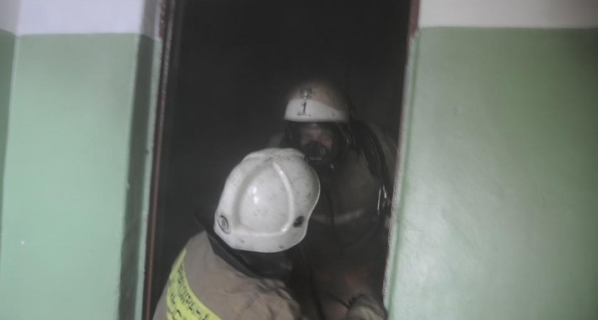 На пожаре на улице Грибоедова в Рязани спасли семь человек 17 июня 2022 года