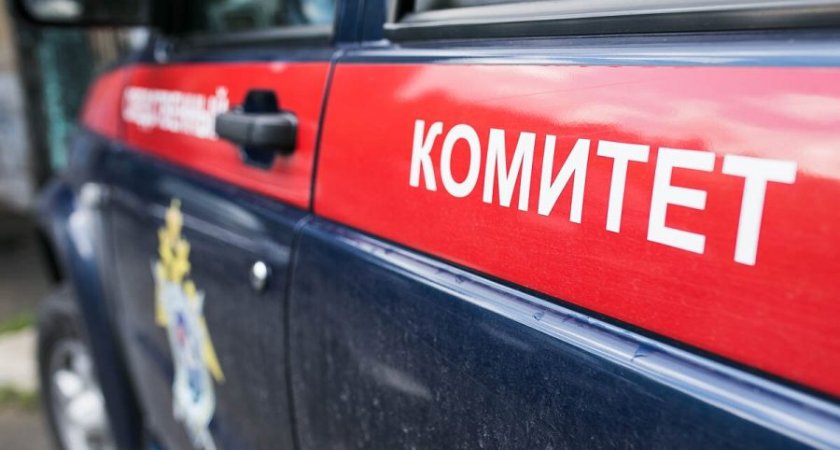 Рязанский СК подтвердил предъявление обвинения рязанским врачам перинатального центра