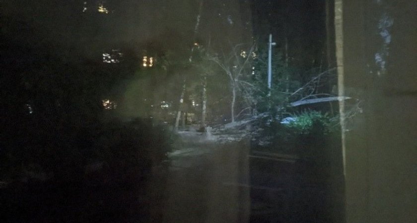 В Рязани на улице Юбилейной дерево упало на козырек подъезда и оборвало провода