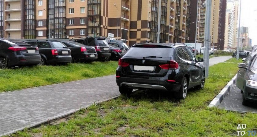 Сорокина запросила отчет об автоматических штрафах за нарушения правил парковки