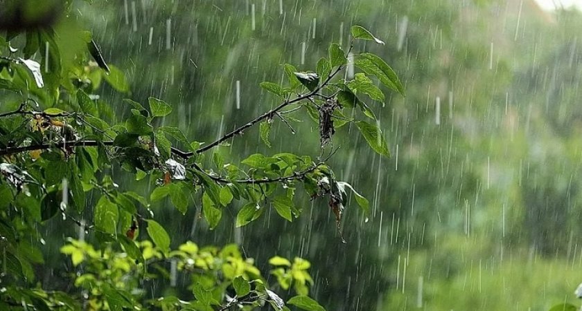 29 июля в Рязанской области ожидается дождь, гроза и +27