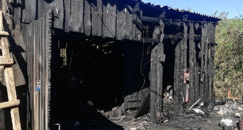 В Пронске вспыхнула хозяйственная постройка рядом с жилым домом