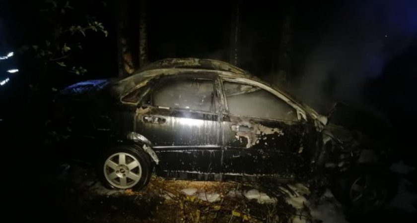 В Клепиковском районе водитель Chevrolet сбил лося и погиб