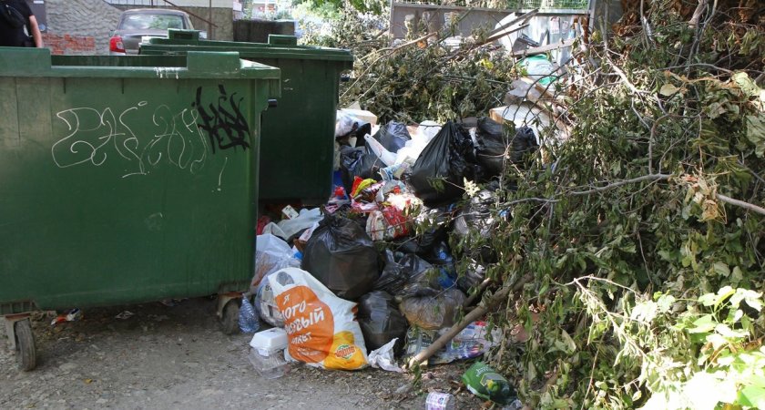 Елена Сорокина объехала свалки на мусорных площадках в центре Рязани
