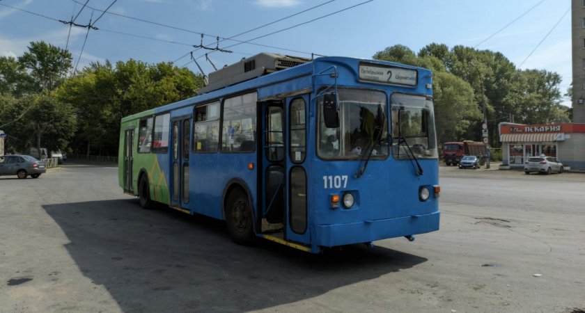 Активисты Рязани покрасили троллейбус №2