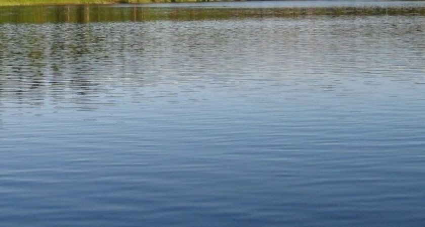 Из озера Велье под Рязанью извлекли труп 38-летней утопленницы