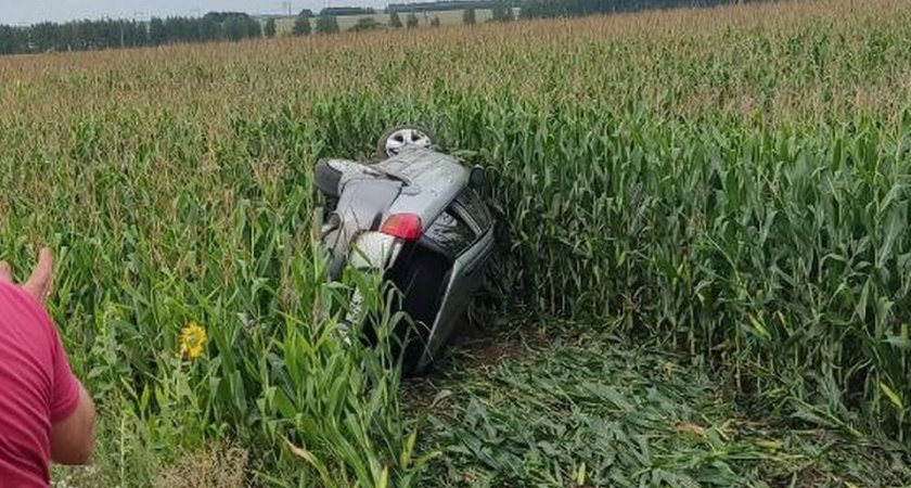 В Пронском районе машина с четырьмя детьми опрокинулась в кукурузное поле