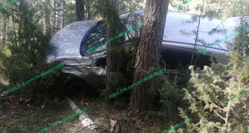 В Клепиковском районе Nissan вылетел на обочину и врезался в дерево