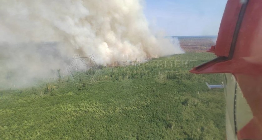 В Клепиковском районе низовой пожар перешел в верховой