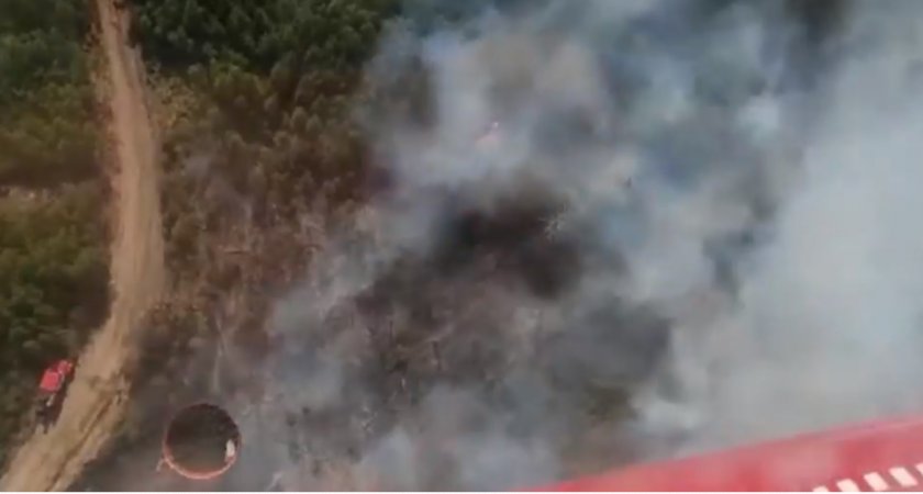 В рязанском МЧС опубликовали видео тушения пожаров авиацией