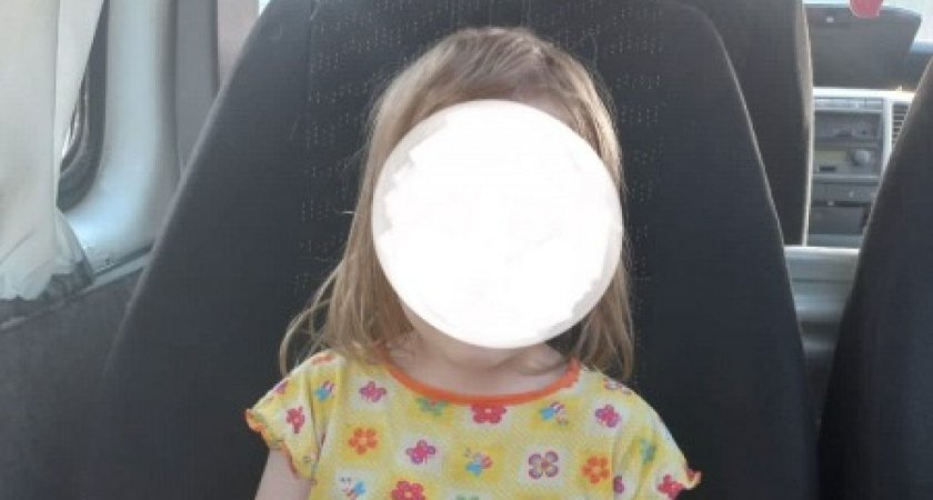Семье из Рязани вернули потерявшуюся 4-летнюю девочку