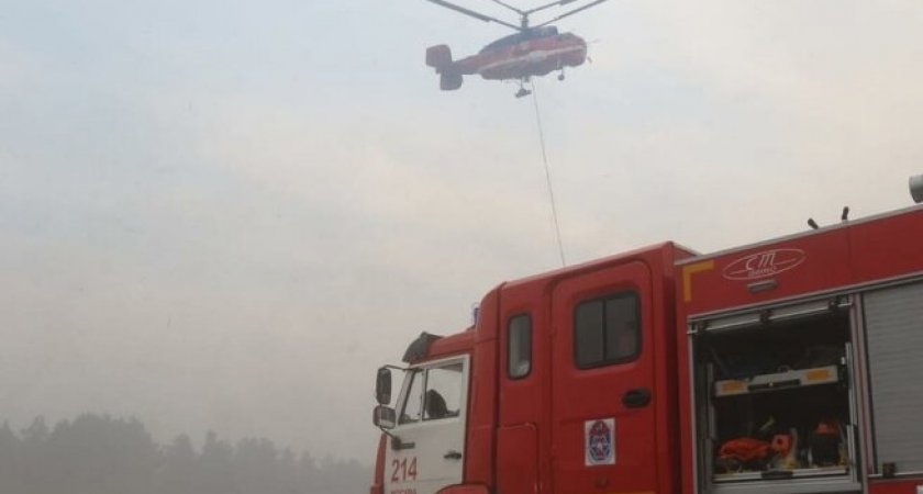 МЧС возбудило уголовное дело из-за крупных лесных пожаров под Рязанью