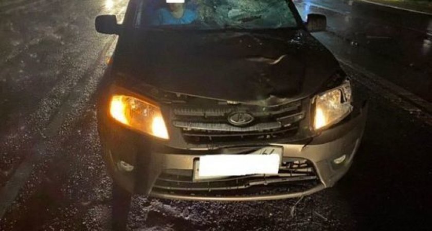 В Скопинском районе 54-летний водитель Lada насмерть сбил двух девушек