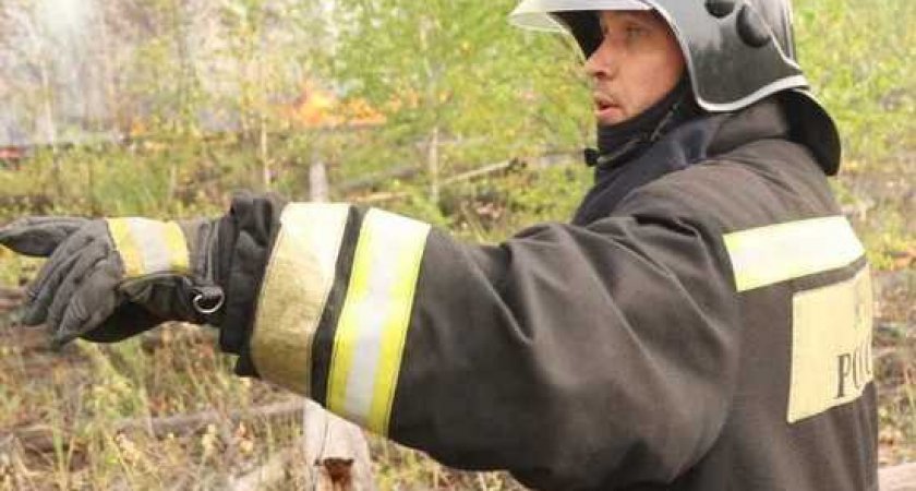 Площадь лесных пожаров в Рязанской области превысила 7 тыс. га