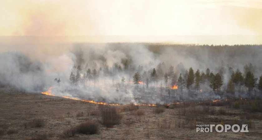 В Рязанской области из-за пожаров эвакуировали жителей деревни Ольгино