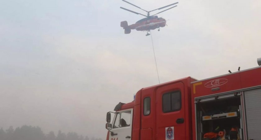 В Рязанской области площадь лесных пожаров составила 8,6 тыс. га
