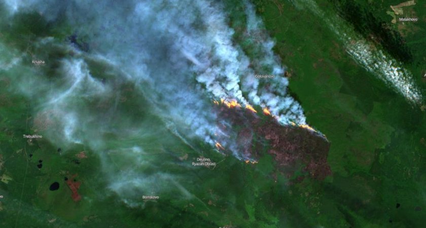 Появились фото лесных пожаров в Рязанской области со спутника