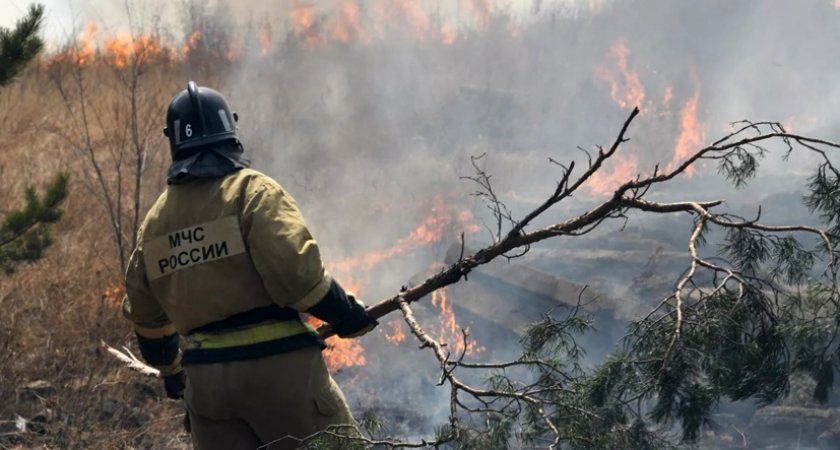 В Рязанской области с 22 августа 2022 года введен режим ЧС из-за лесных пожаров