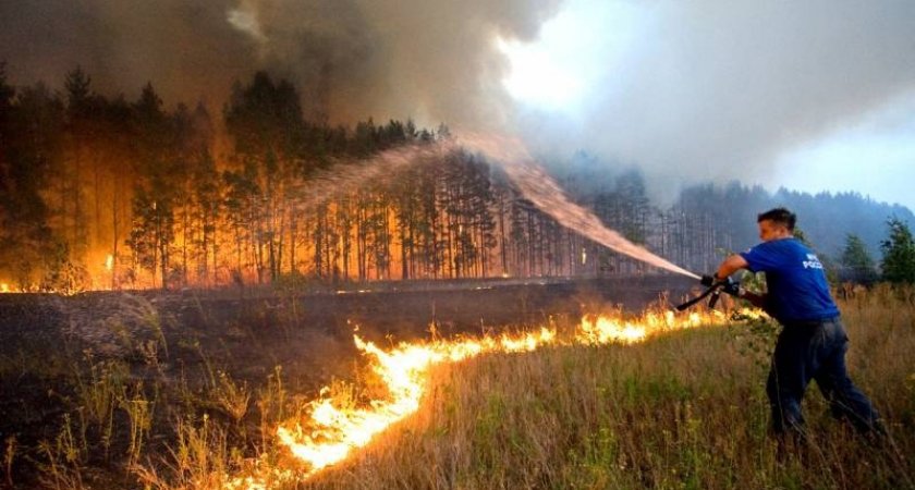 Площадь лесных пожаров в Рязанской области достигла 183 гектара