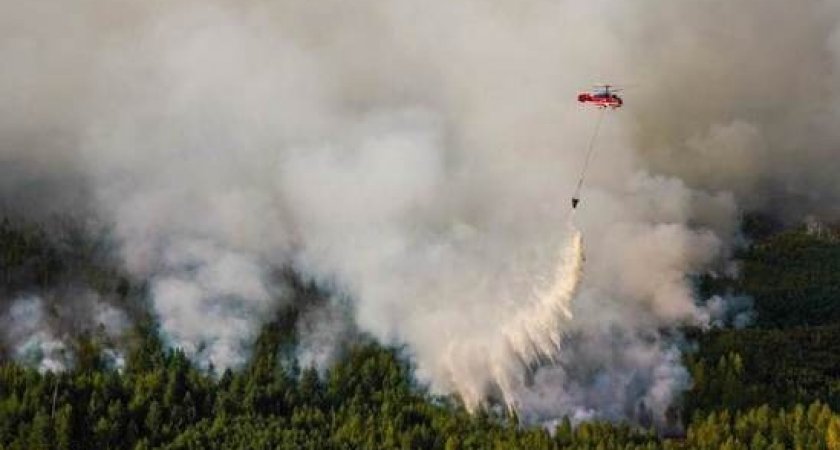 Малков рассказал о причине лесных пожаров Рязанской области
