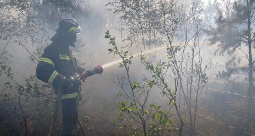 Длина кромки горения леса под Рязанью уменьшилась за сутки в два раза