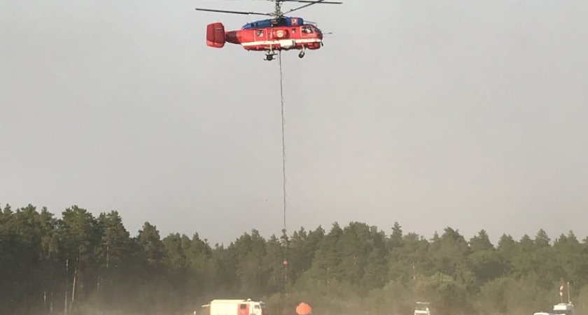 В Рязанской области на горящие лесные пожары сброшено более 24 тысяч тонн воды