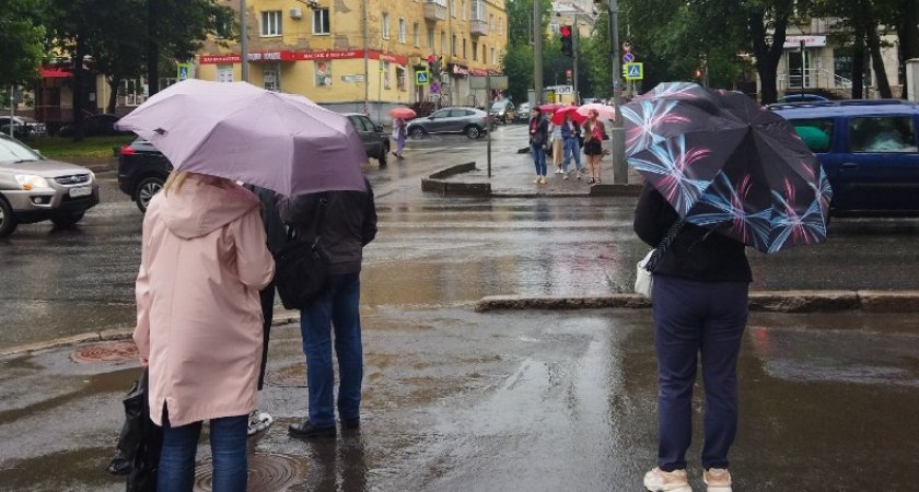 В Рязанскую область придут кратковременные дожди 29 августа