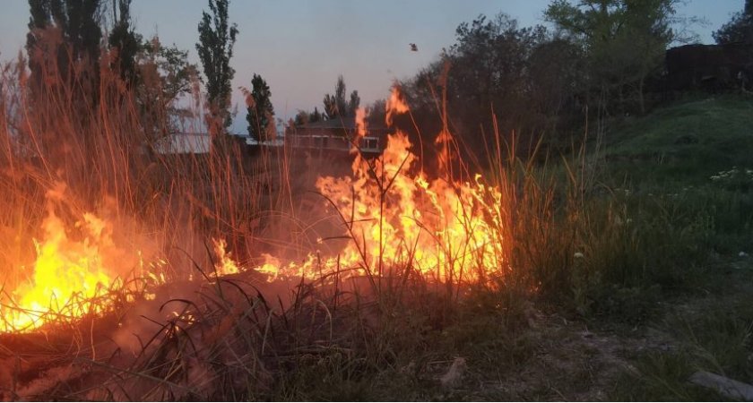 В Рязанской области в августе площадь пожаров превысила 20 тысяч гектаров