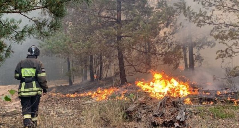 Пострадавший при ликвидации пожаров в Рязанской области получил ожоги третьей степени