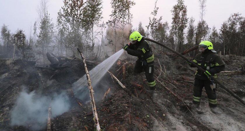 В Рязани ищут волонтёров с опытом для ликвидации пожаров в Касимовском районе