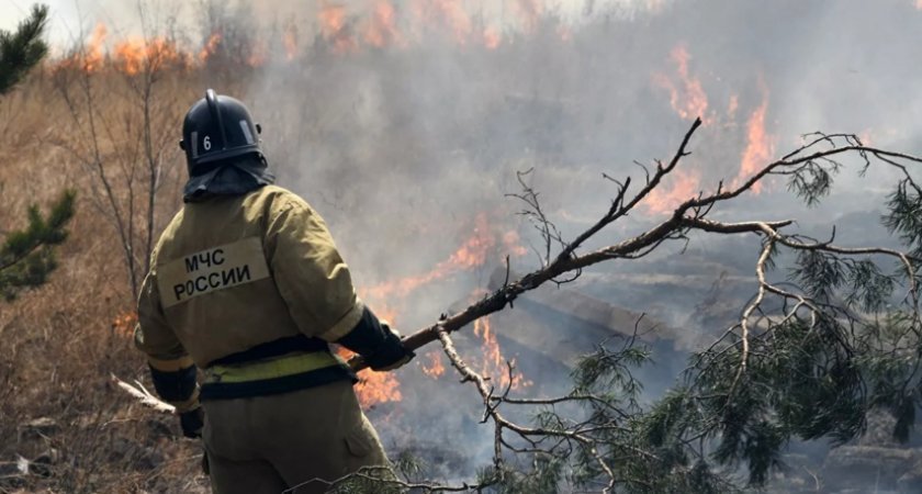 Пиролог высказался о причине пожаров в Рязанской области в 2022 году